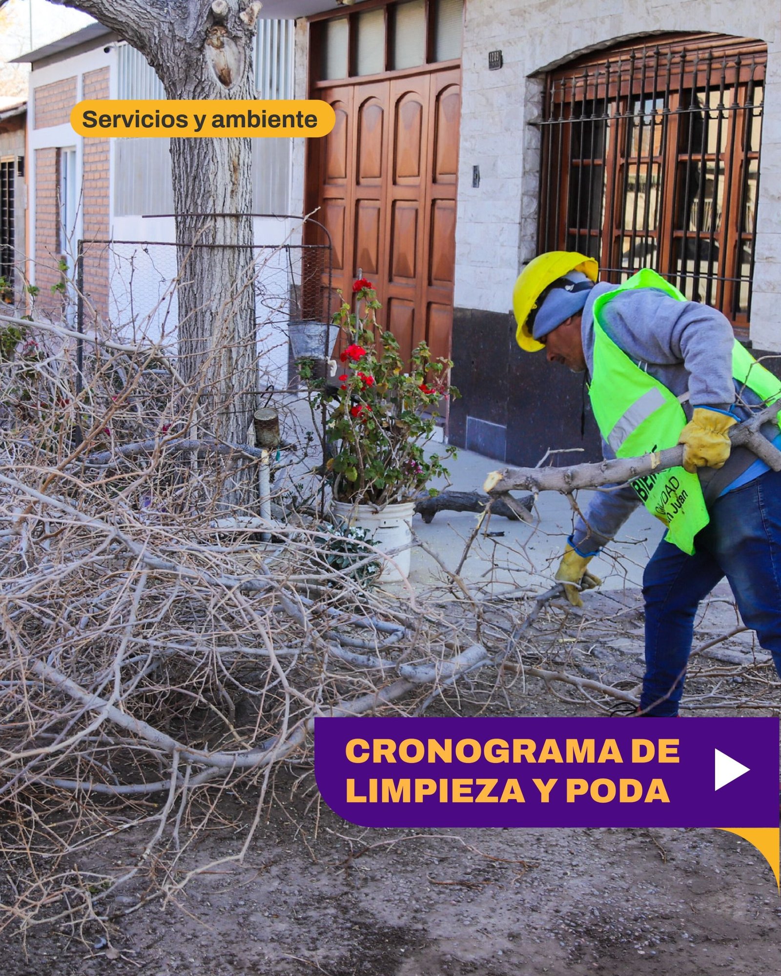 El Municipio intensifica los trabajos de mantenimiento del arbolado y ...